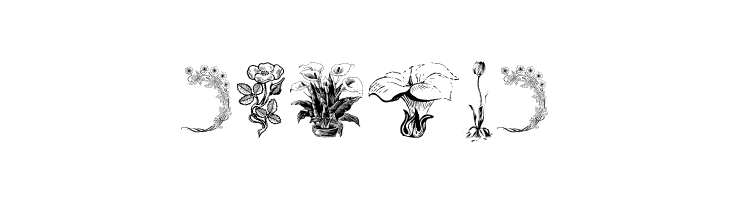 Vegetable Breathe Free Two  Free Fonts Download