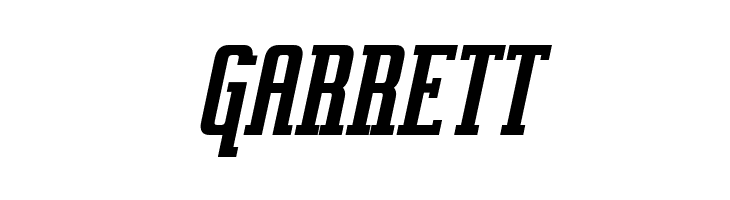 Vahika Bold Italic  Free Fonts Download