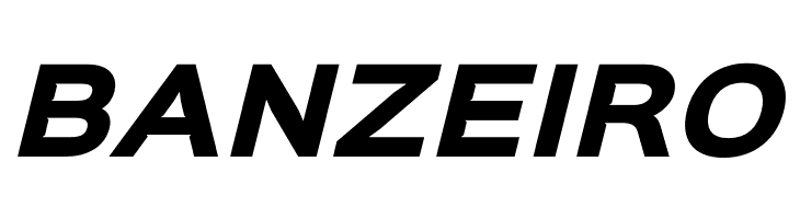 Sinkin Sans 800 Black Italic  Free Fonts Download