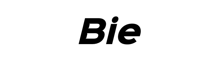 Sinkin Sans 800 Black Italic  Free Fonts Download