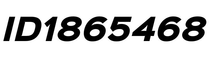 Sinkin Sans 800 Black Italic  Free Fonts Download