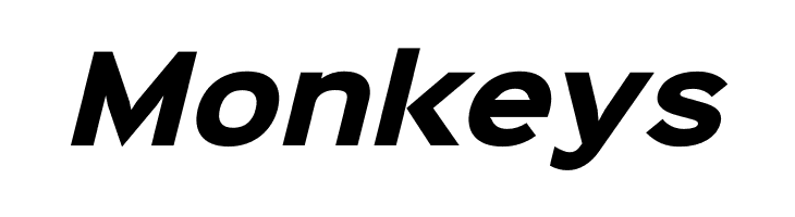 Sinkin Sans 800 Black Italic  Free Fonts Download