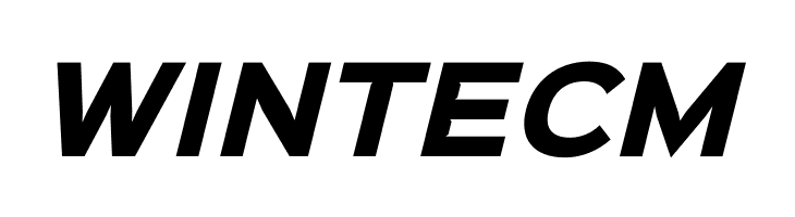 Sinkin Sans 800 Black Italic  Free Fonts Download