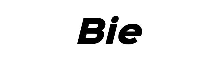 Sinkin Sans 900 X Black Italic  Free Fonts Download
