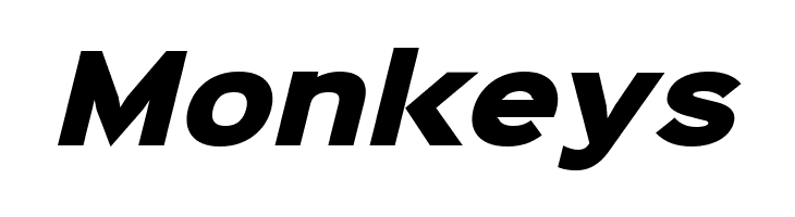 Sinkin Sans 900 X Black Italic  Free Fonts Download