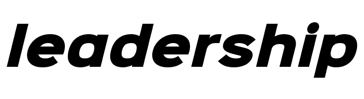 Sinkin Sans 900 X Black Italic  Free Fonts Download