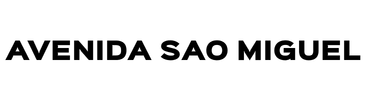 Sinkin Sans 900 X Black  Free Fonts Download