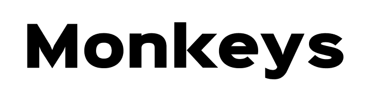 Sinkin Sans 900 X Black  Free Fonts Download