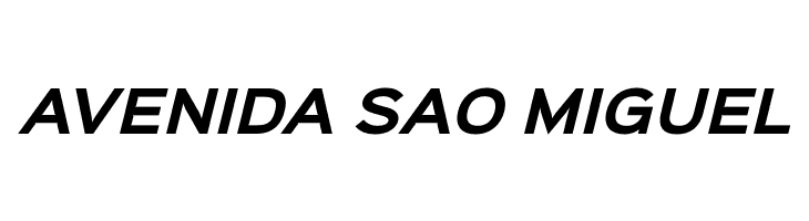 Sinkin Sans 700 Bold Italic  Free Fonts Download