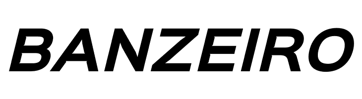 Sinkin Sans 700 Bold Italic  Free Fonts Download