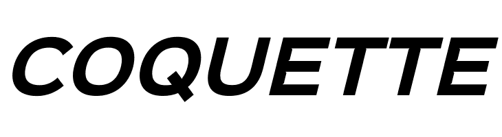 Sinkin Sans 700 Bold Italic  Free Fonts Download