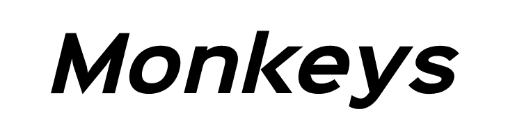 Sinkin Sans 700 Bold Italic  Free Fonts Download