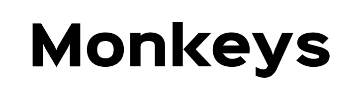 Sinkin Sans 800 Black  Free Fonts Download