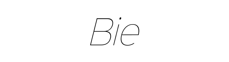 Sinkin Sans 100 Thin Italic  Free Fonts Download