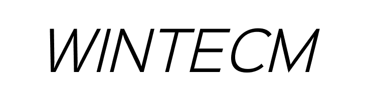 Sinkin Sans 300 Light Italic  Free Fonts Download