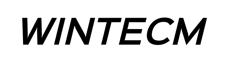 Sinkin Sans 600 SemiBold Italic  Free Fonts Download