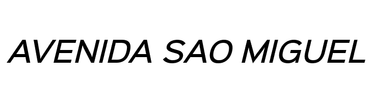 Sinkin Sans 500 Medium Italic  Free Fonts Download