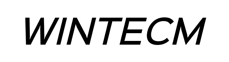 Sinkin Sans 500 Medium Italic  Free Fonts Download