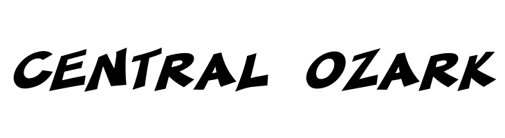 SF Minced Meat Bold Oblique  Free Fonts Download