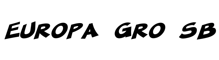 SF Minced Meat Bold Oblique  Free Fonts Download
