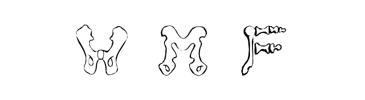 TTEditFont  Free Fonts Download