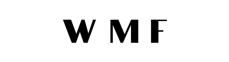 Times Sans Display  Free Fonts Download