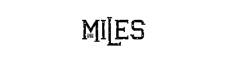 Awakened Grunge  Free Fonts Download