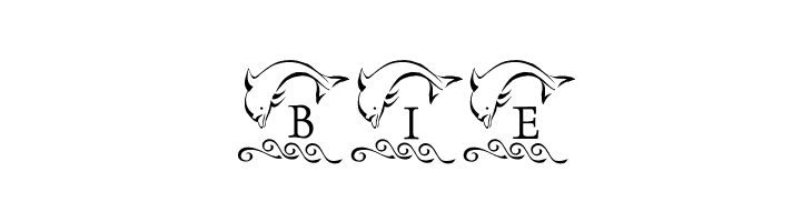LCR Playful Dolphin  Free Fonts Download