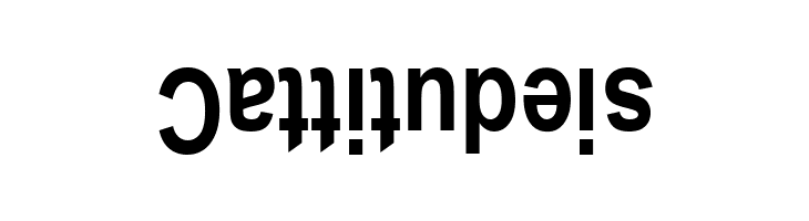 Upside Down Sans Serif Narrow Bold  Free Fonts Download