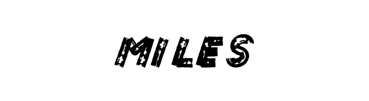 ROLLER MADE  Free Fonts Download