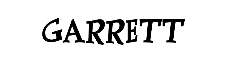 PalatinaTurner Bold  Free Fonts Download