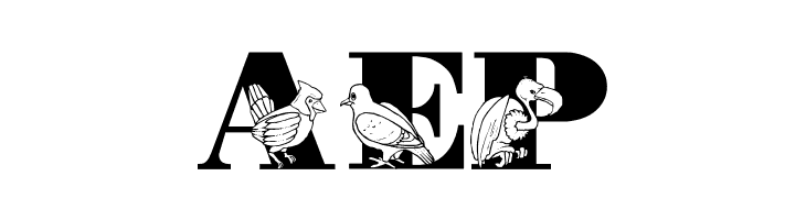 LMS Bird Watching  Free Fonts Download