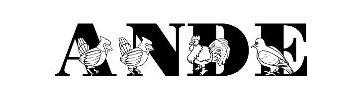 LMS Bird Watching  Free Fonts Download