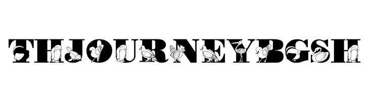 LMS Bird Watching  Free Fonts Download