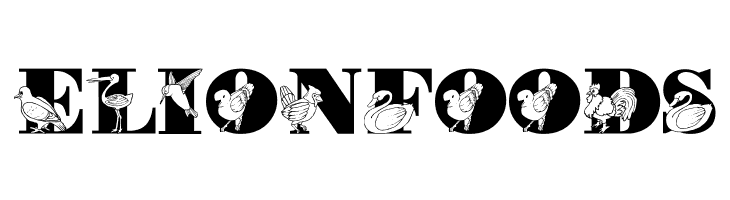LMS Bird Watching  Free Fonts Download