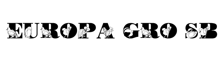 LMS Bird Watching  Free Fonts Download