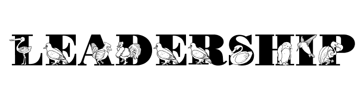 LMS Bird Watching  Free Fonts Download