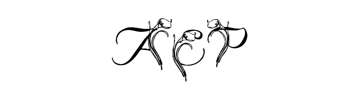 LMS Calla Lily  Free Fonts Download