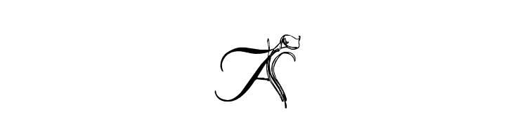 LMS Calla Lily  Free Fonts Download