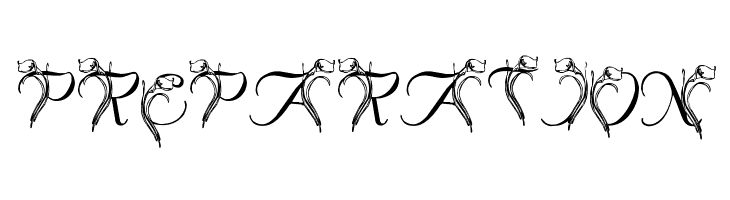 LMS Calla Lily  Free Fonts Download