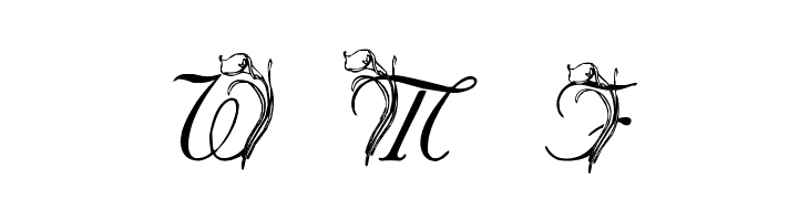 LMS Calla Lily  Free Fonts Download