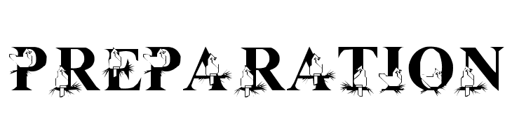 LMS Christmas Cardinals  Free Fonts Download