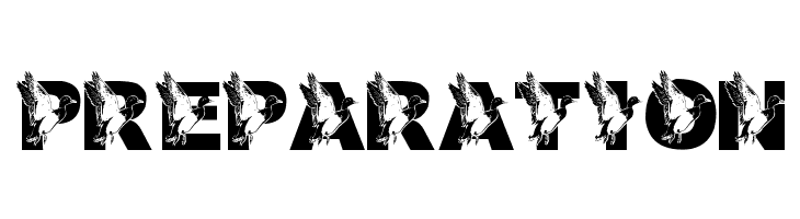 LMS Dad's Duck  Free Fonts Download