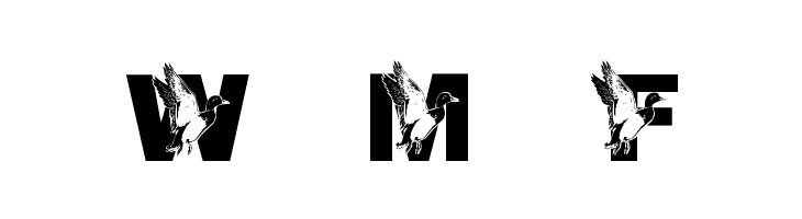 LMS Dad's Duck  Free Fonts Download