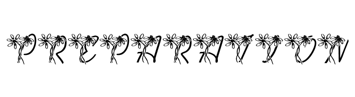 LMS Daisy Days  Free Fonts Download