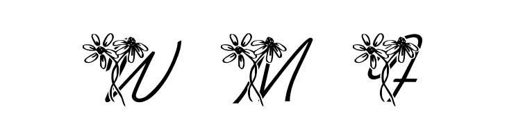 LMS Daisy Days  Free Fonts Download