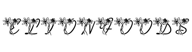 LMS Daisy Days  Free Fonts Download