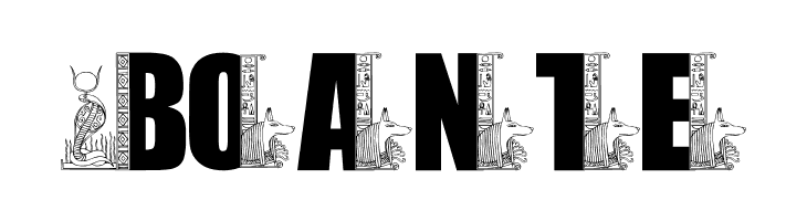 LMS Egyptian Bookends  Free Fonts Download