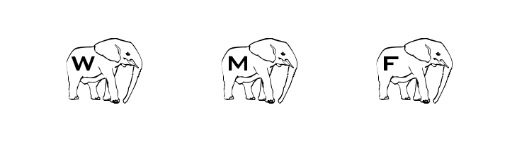 LMS Elephant Tattoo  Free Fonts Download