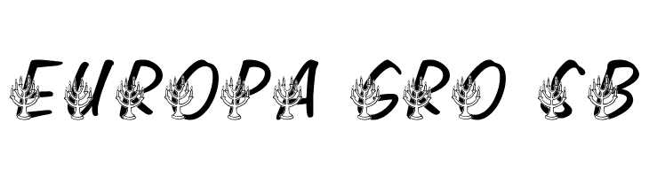LMS Festival of Lights  Free Fonts Download